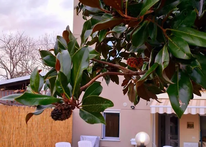 La Casetta Della Magnolia アパート *